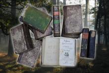 Biblioteka