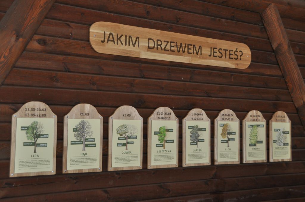 Jakim drzewem jesteś?