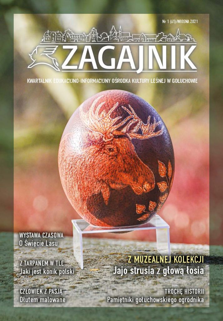 Zapraszamy na łamy „Zagajnika”