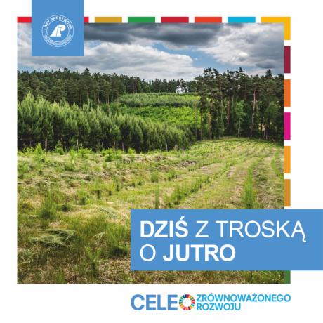Trwa Europejski Tydzień Zrównoważonego Rowzoju