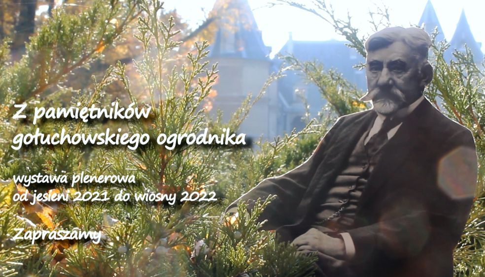 Listopad w pamiętnikach ogrodnika Adama Kubaszewskiego