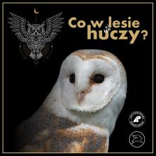 Co w lesie huczy? – podsumowanie