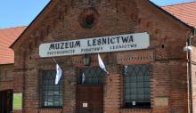 Zwiedzanie Muzeum Leśnictwa 11 listopada
