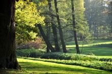 Park-arboretum
