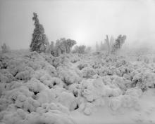 50 fotografii z gór i lasów