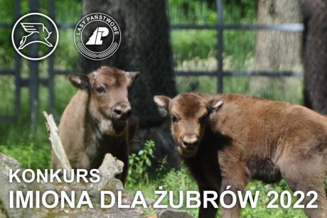 Imiona dla żubrów wybrane