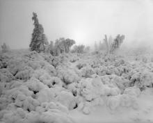 Wystawa ,,50 fotografii z gór i lasów" autorstwa Adama Bencala w Muzeum Leśnictwa