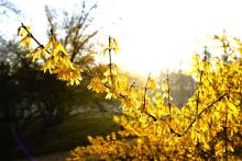 Zapraszamy na spacer